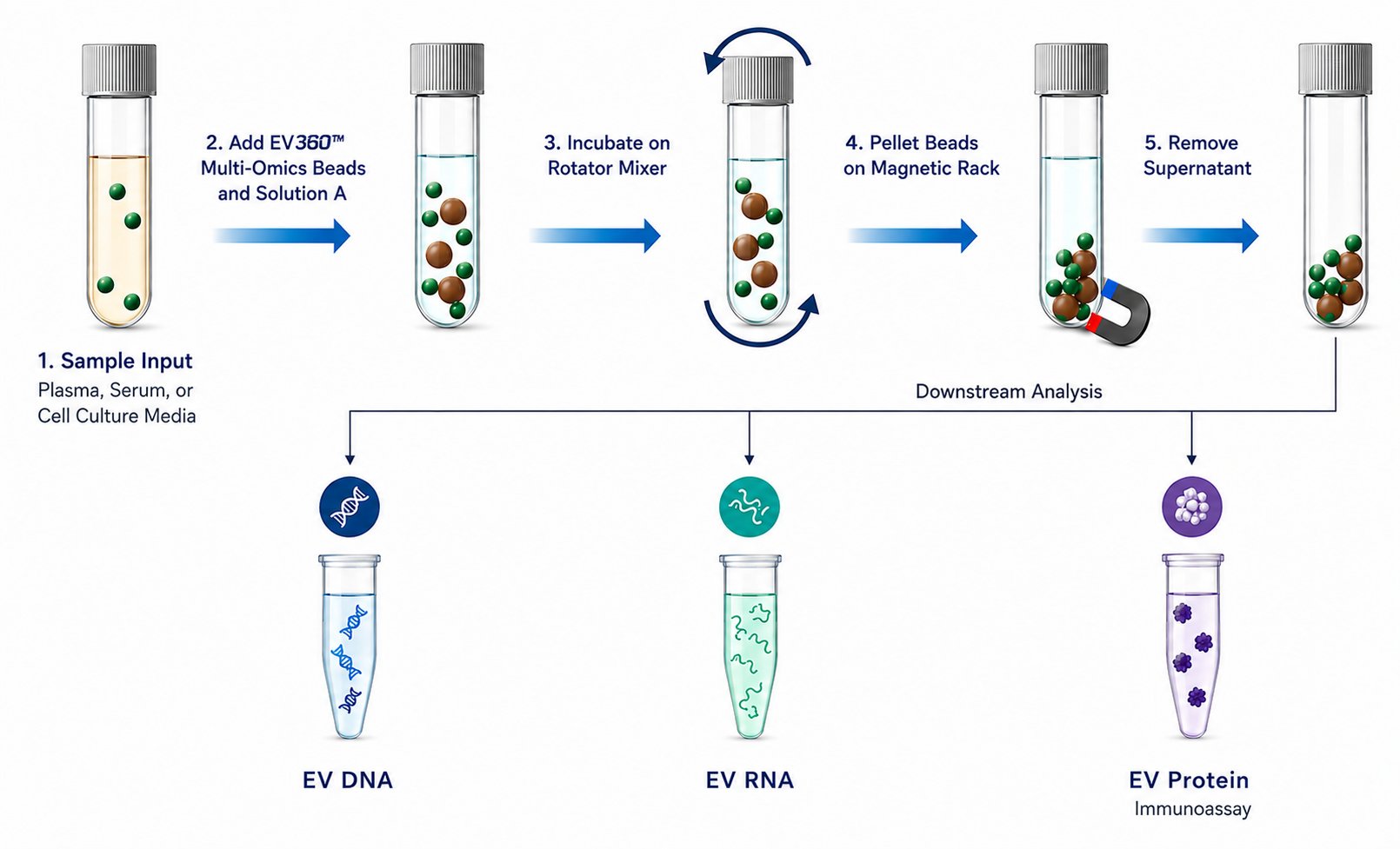 EVs360 Multi-Omics Kit protocol schematic